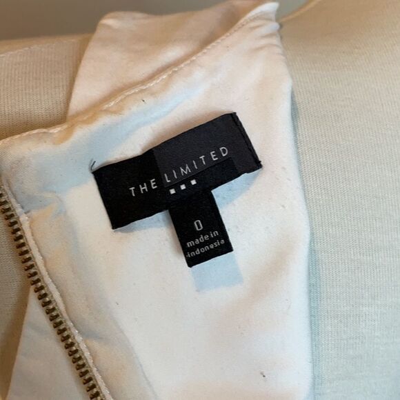 The Limited Color Block Sleeveless Bodycon Dress (Size: 0) - Picture 14 of 16